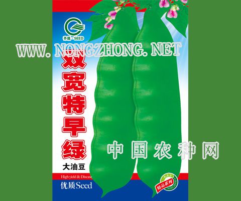 双宽特早绿大油豆